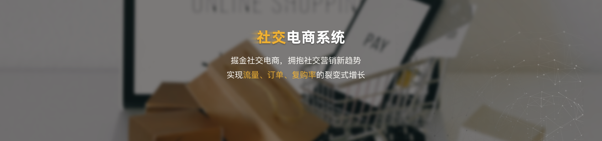 移动电商-皮诺客