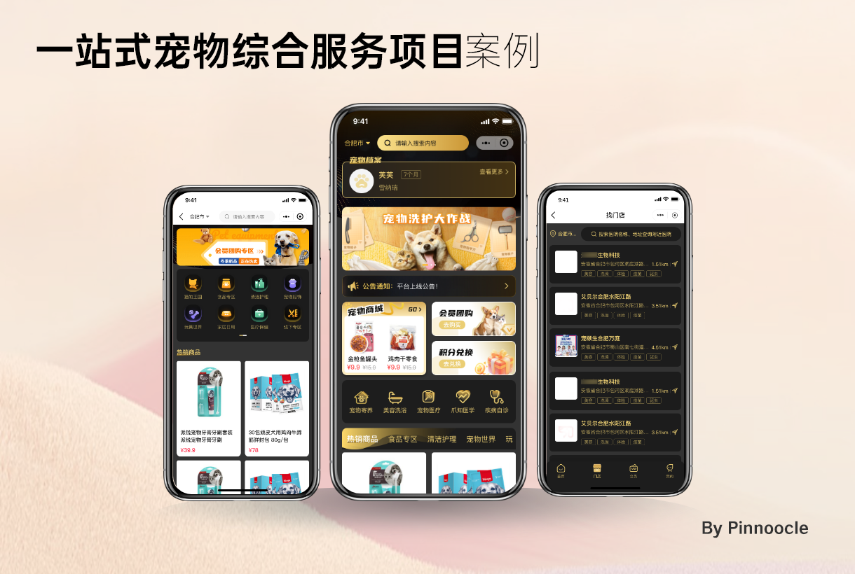 合肥专业承接宠物小程序开发的正规技术服务公司 合肥专业承接宠物小程序开发的正规技术服务公司